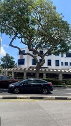 Changi Road (D14), Retail #602776711